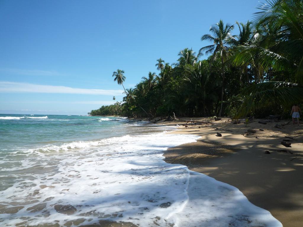Mar Verde Lodge Puerto Viejo de Talamanca Eksteriør billede