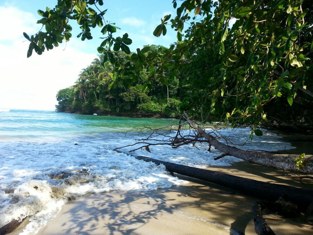 Mar Verde Lodge Puerto Viejo de Talamanca Eksteriør billede