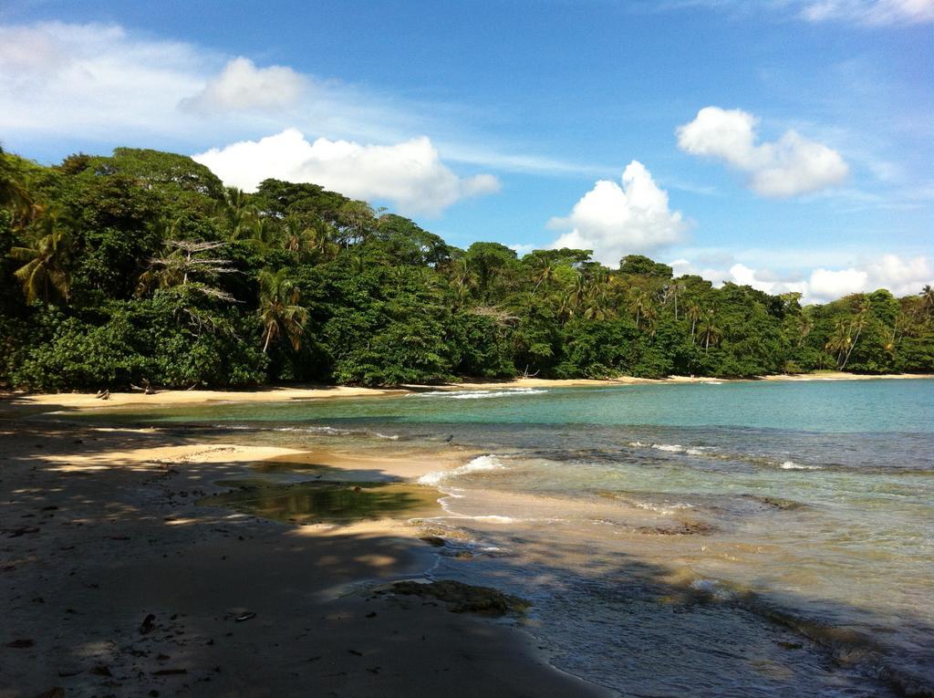 Mar Verde Lodge Puerto Viejo de Talamanca Eksteriør billede