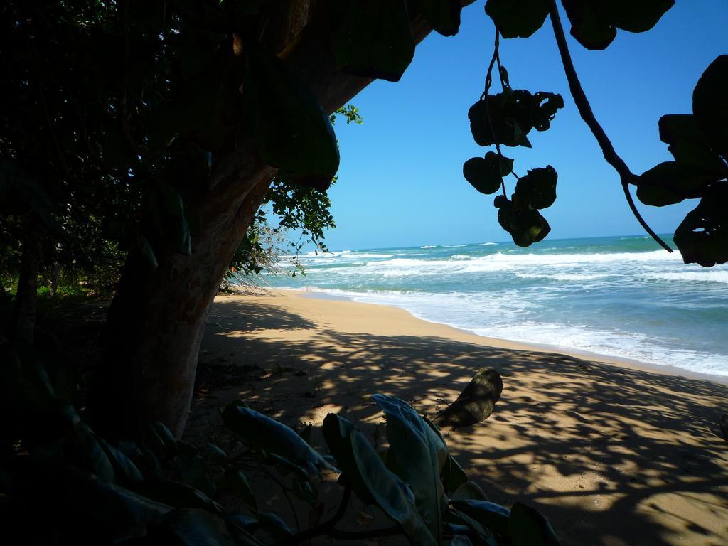 Mar Verde Lodge Puerto Viejo de Talamanca Eksteriør billede