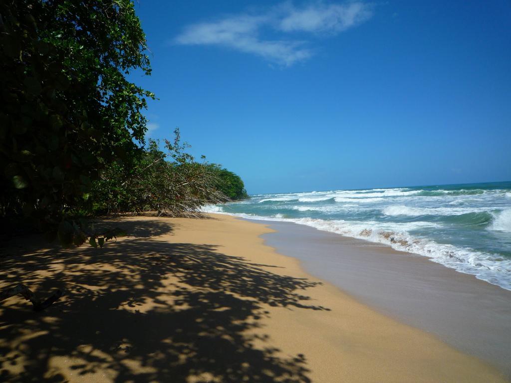 Mar Verde Lodge Puerto Viejo de Talamanca Eksteriør billede