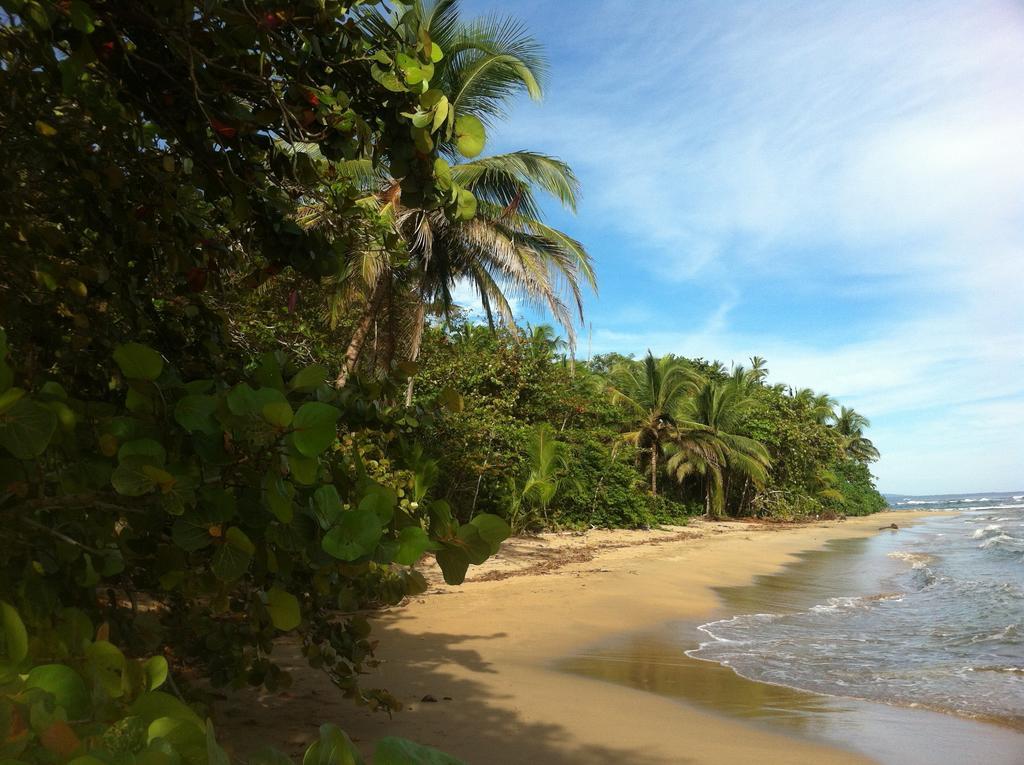 Mar Verde Lodge Puerto Viejo de Talamanca Eksteriør billede
