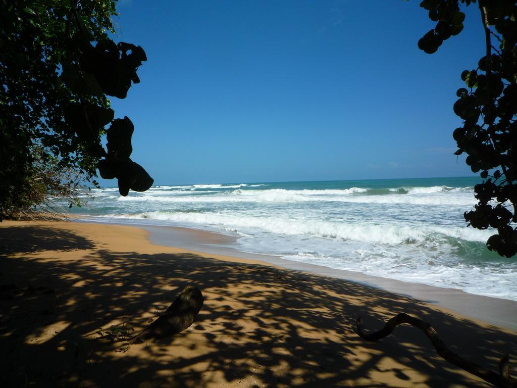 Mar Verde Lodge Puerto Viejo de Talamanca Eksteriør billede