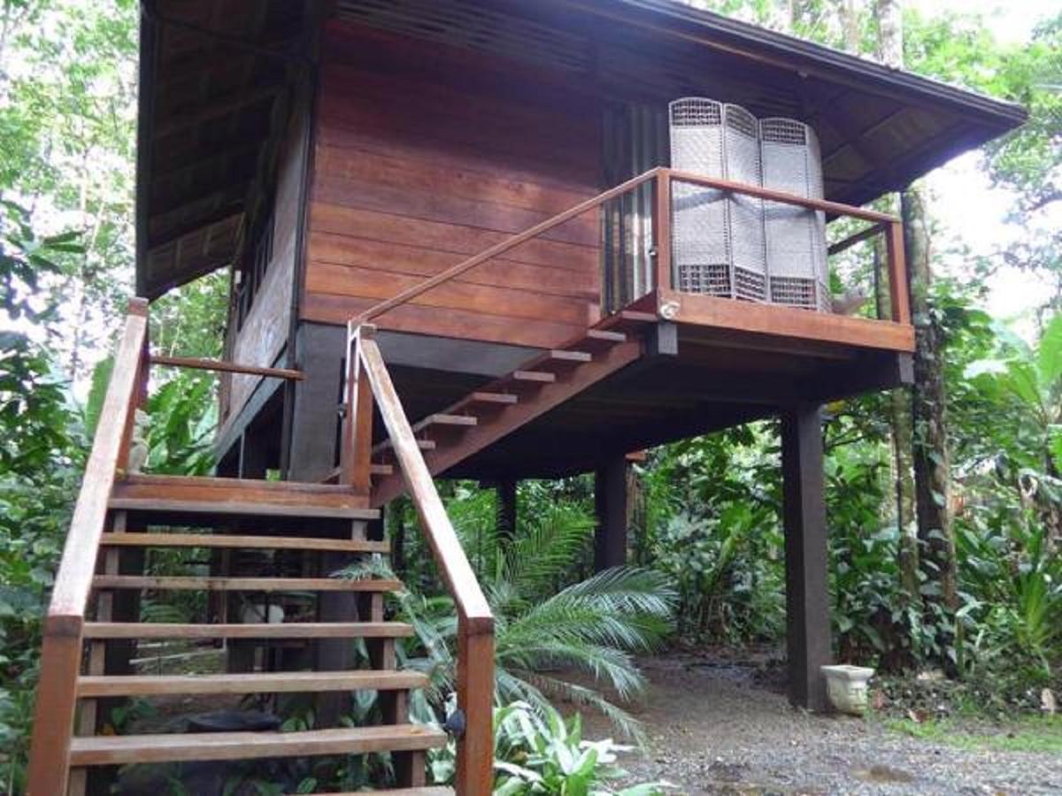 Mar Verde Lodge Puerto Viejo de Talamanca Eksteriør billede