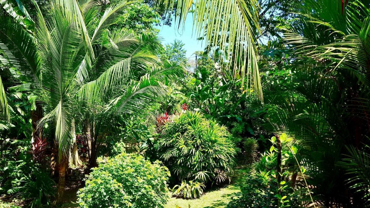 Mar Verde Lodge Puerto Viejo de Talamanca Eksteriør billede